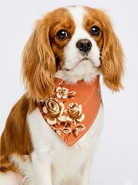 Orange & Brown Floral Dog Bandana Scarf for Collar 6”x8” Chinoiserie Flowers
